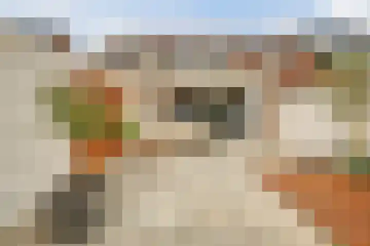 Buntgras 120 Spijkenisse thumbnail 16