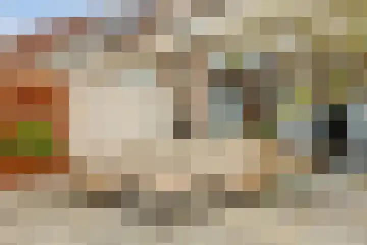 Buntgras 120 Spijkenisse thumbnail 17