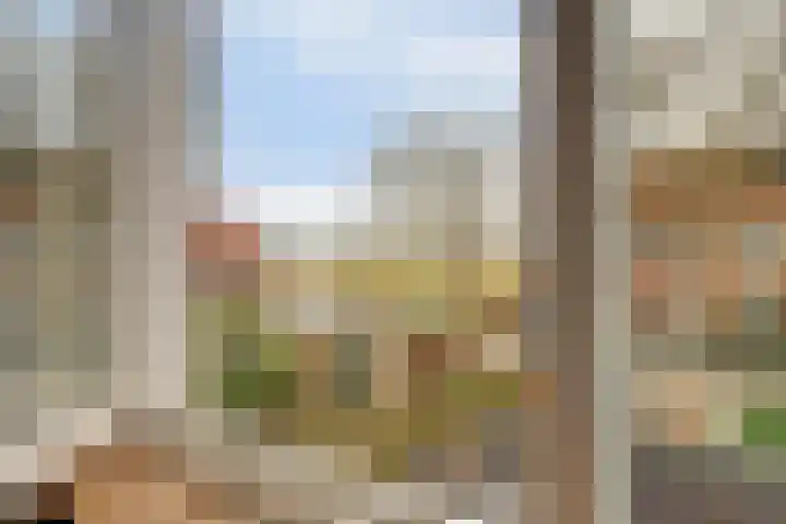 Buntgras 120 Spijkenisse thumbnail 31