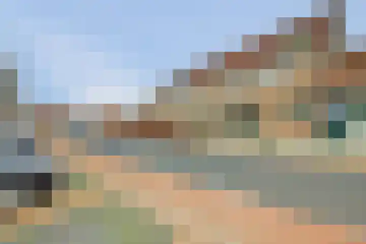 Buntgras 120 Spijkenisse thumbnail 33