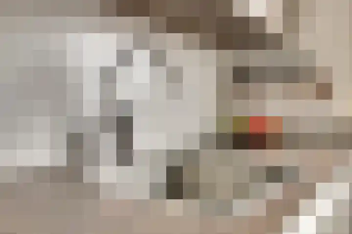 Buntgras 120 Spijkenisse thumbnail 6