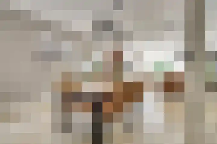 Buntgras 120 Spijkenisse thumbnail 8