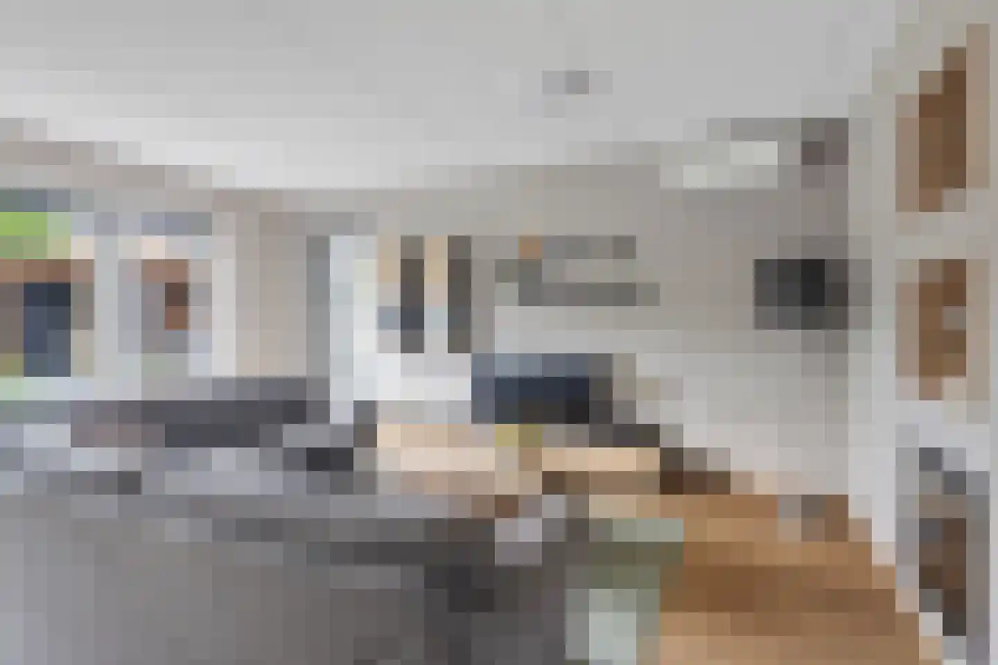 Buntgras 15 Boekel thumbnail 10