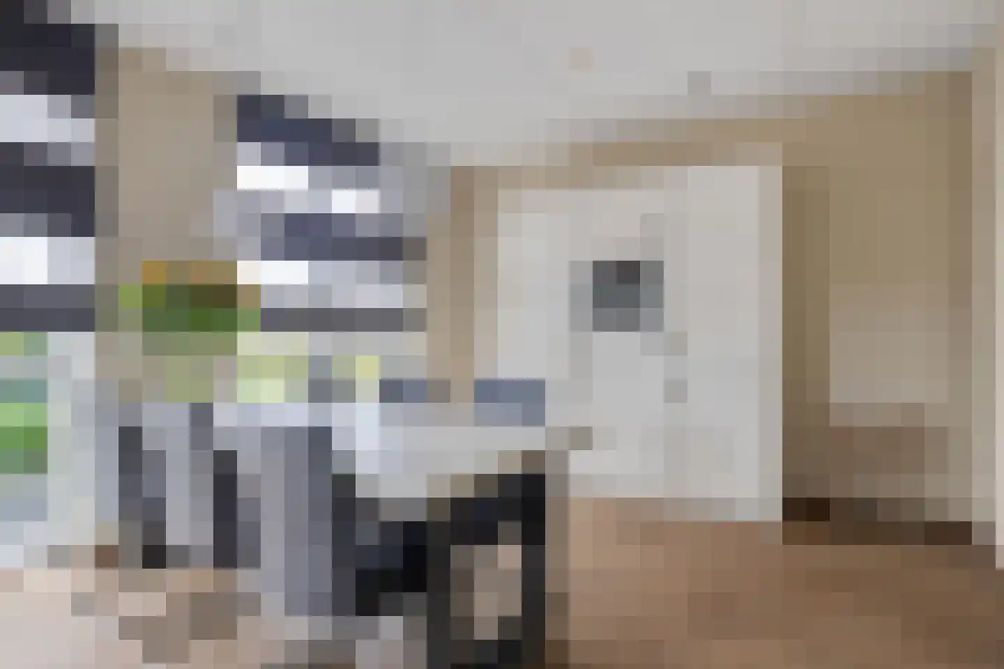 Buntgras 15 Boekel thumbnail 5