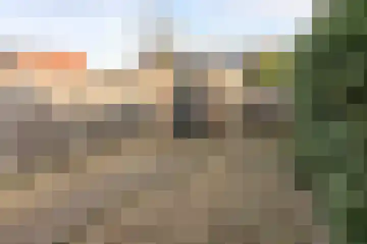 Buntgras 17 Spijkenisse thumbnail 23