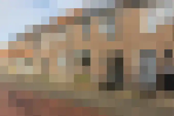 Buntgras 17 Spijkenisse thumbnail 6