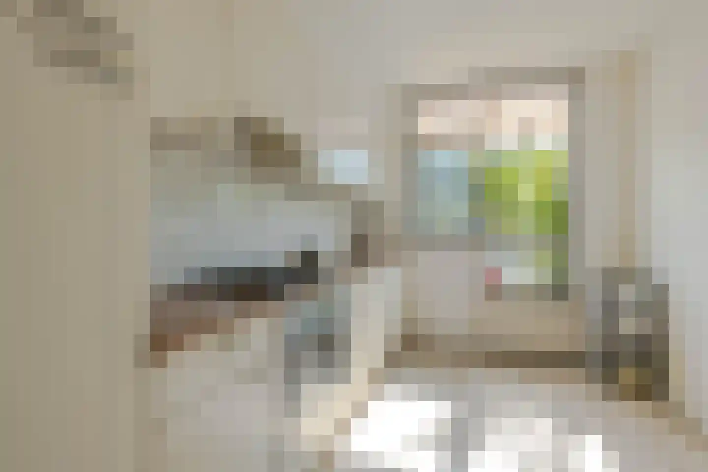 Buntgras 21 Spijkenisse thumbnail 11