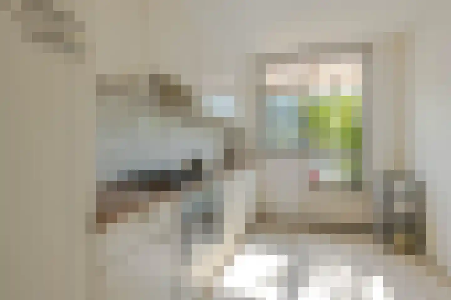 Buntgras 21 Spijkenisse thumbnail 12