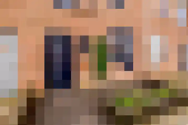 Buntgras 23 Spijkenisse thumbnail 10