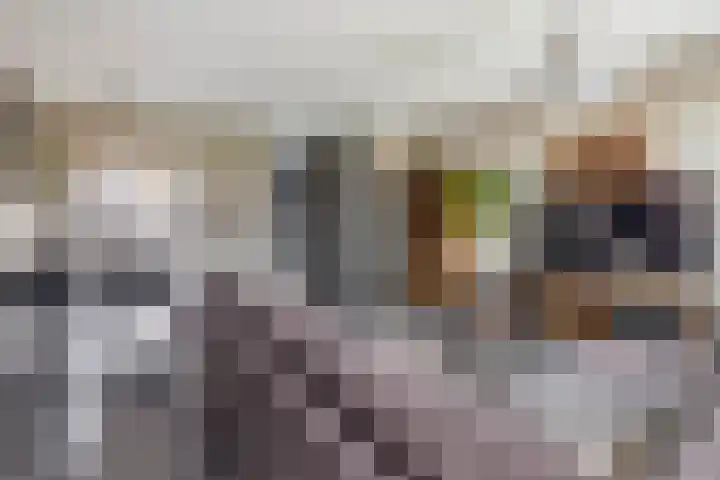 Buntgras 23 Spijkenisse thumbnail 18