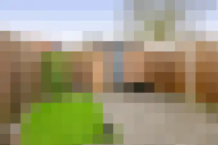 Buntgras 23 Spijkenisse thumbnail 40