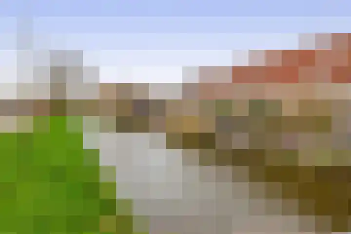 Buntgras 23 Spijkenisse thumbnail 47