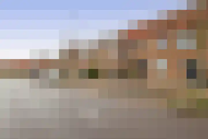Buntgras 23 Spijkenisse thumbnail 6