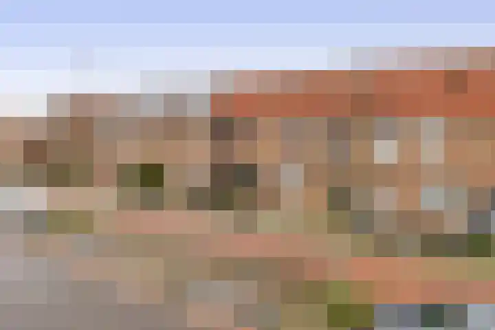 Buntgras 23 Spijkenisse thumbnail 7