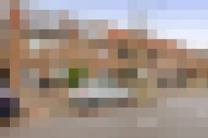 Buntgras 23 Spijkenisse thumbnail 8