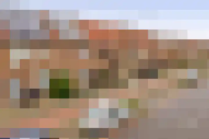 Buntgras 23 Spijkenisse thumbnail 9