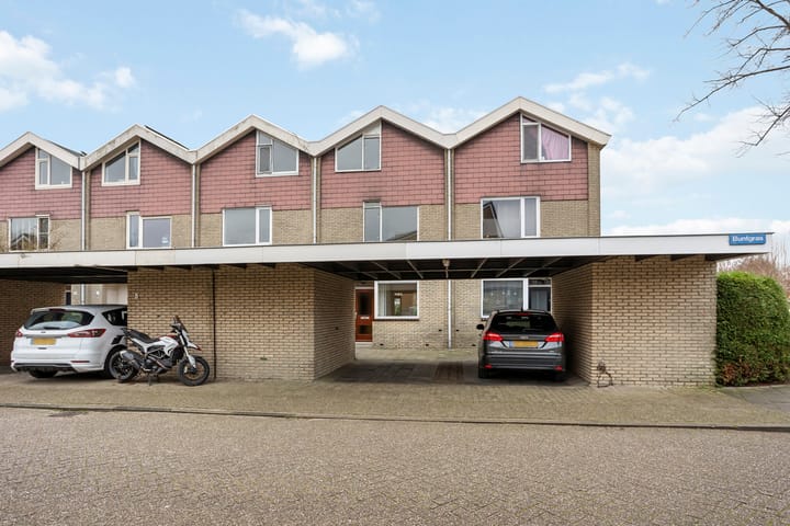 Buntgras 3 en Leiden foto