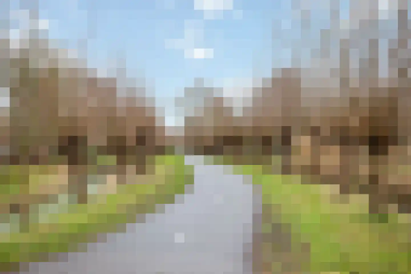 Buntgras 3 Leiden thumbnail 39