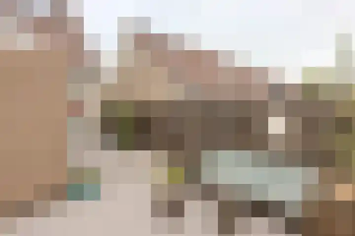 Buntgras 33 Spijkenisse thumbnail 18