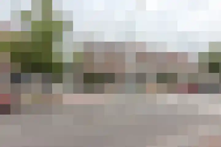 Buntgras 33 Spijkenisse thumbnail 6