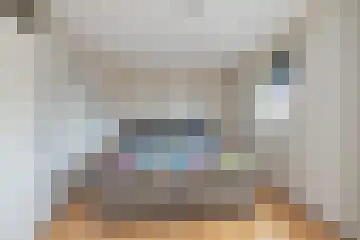 Buntgras 73 Spijkenisse thumbnail 32