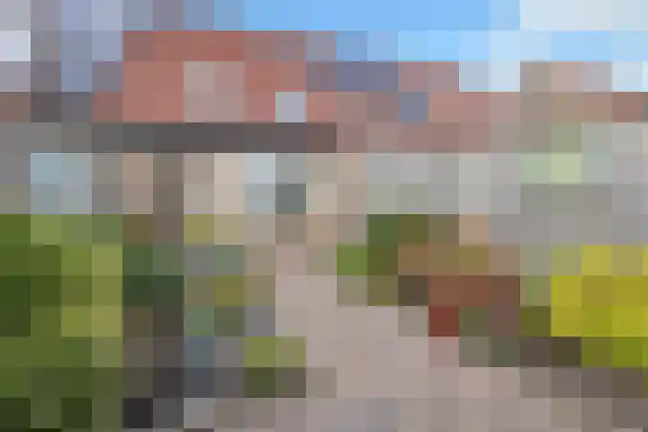 Buntgras 73 Spijkenisse thumbnail 52