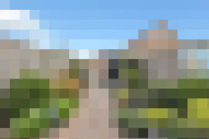 Buntgras 73 Spijkenisse thumbnail 53