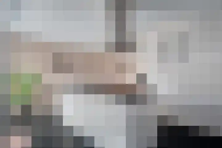 Buntgraslaan 26 A 't Harde thumbnail 17