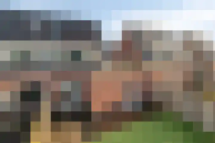 Buntgraslaan 26 A 't Harde thumbnail 35