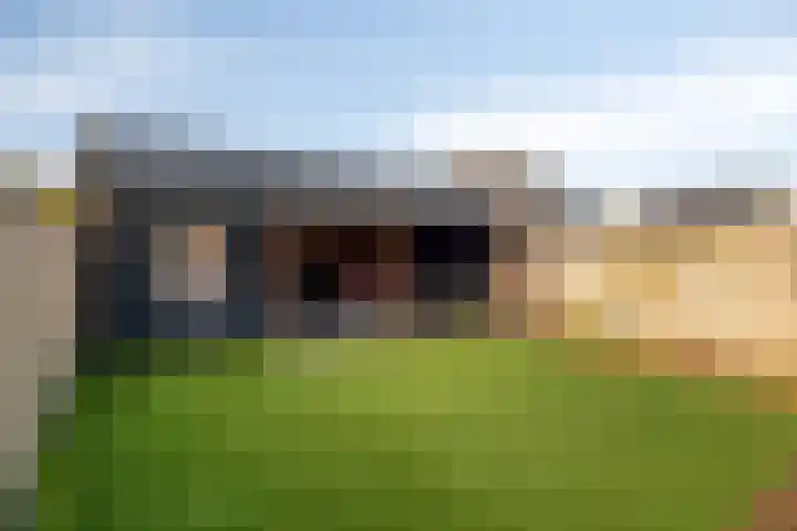 Buntgraslaan 26 A 't Harde thumbnail 37