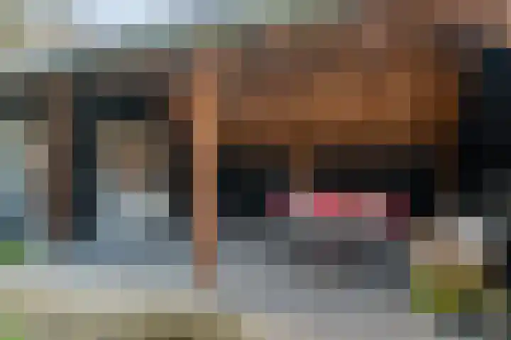 Buntgraslaan 26 A 't Harde thumbnail 39