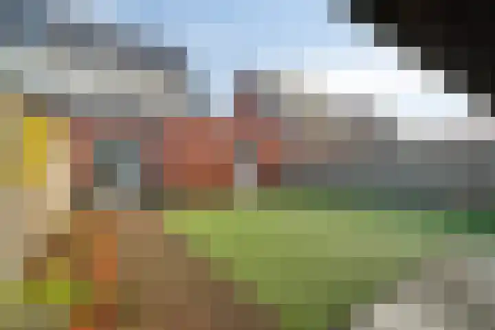 Buntgraslaan 26 A 't Harde thumbnail 41