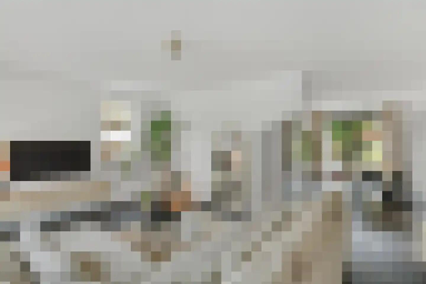 Bunthaak 16 Hasselt thumbnail 23