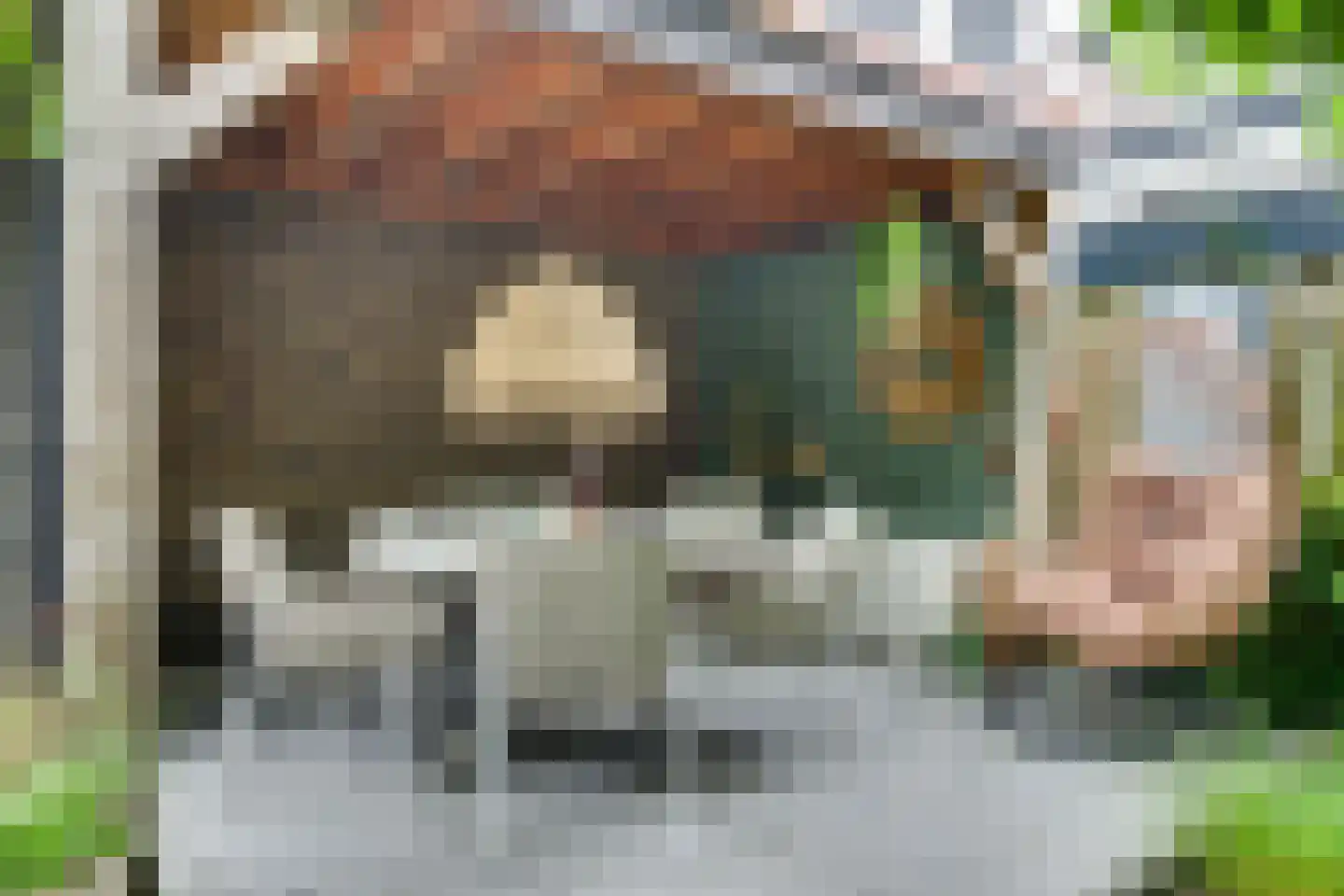 Bunthaak 16 Hasselt thumbnail 29