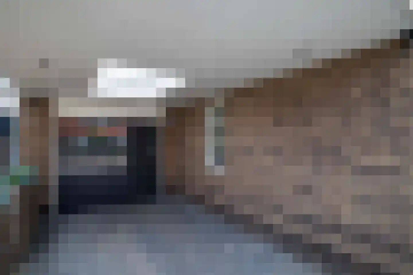 Bunthaak 44 Hasselt thumbnail 13