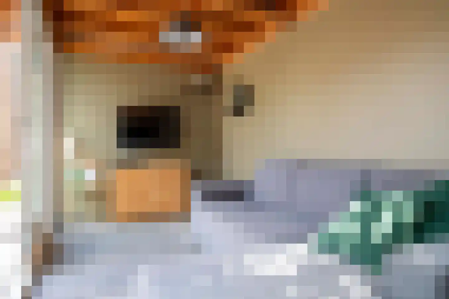 Bunthaak 44 Hasselt thumbnail 34