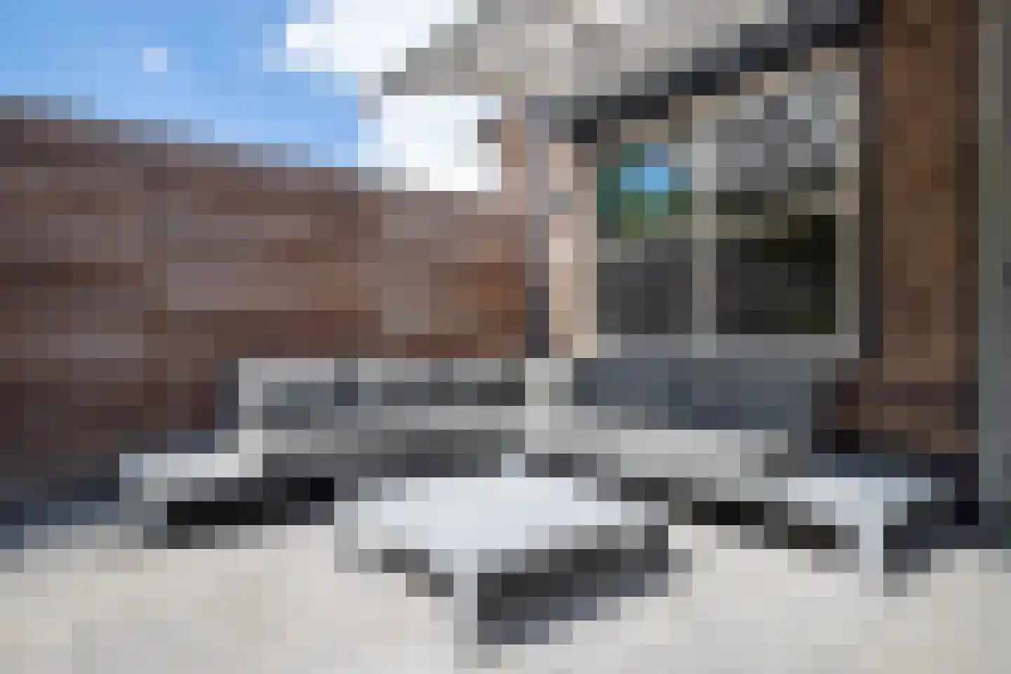 Bunthaak 44 Hasselt thumbnail 37