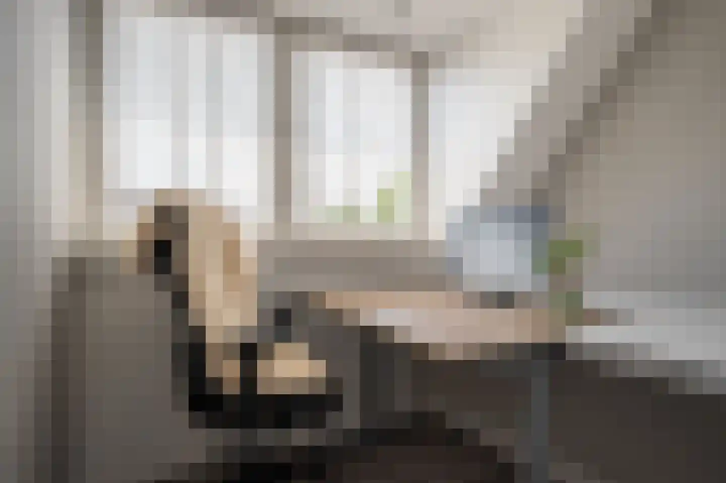 Bunthaak 44 Hasselt thumbnail 47