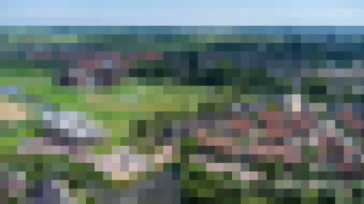 Bunthaak 44 Hasselt thumbnail 7