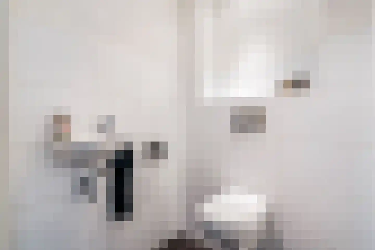 Bunthaak 6 Hasselt thumbnail 12