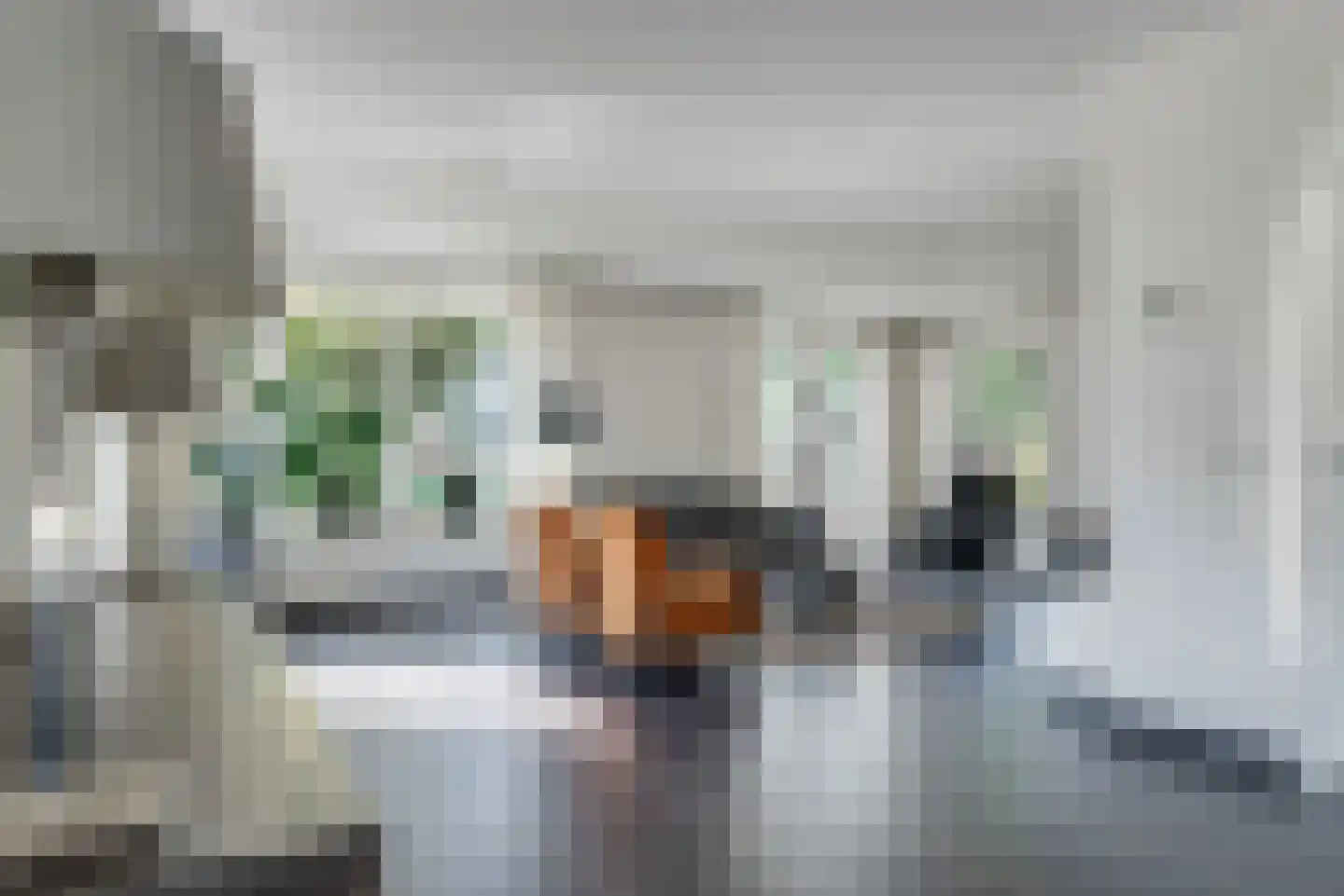 Bunthaak 6 Hasselt thumbnail 13