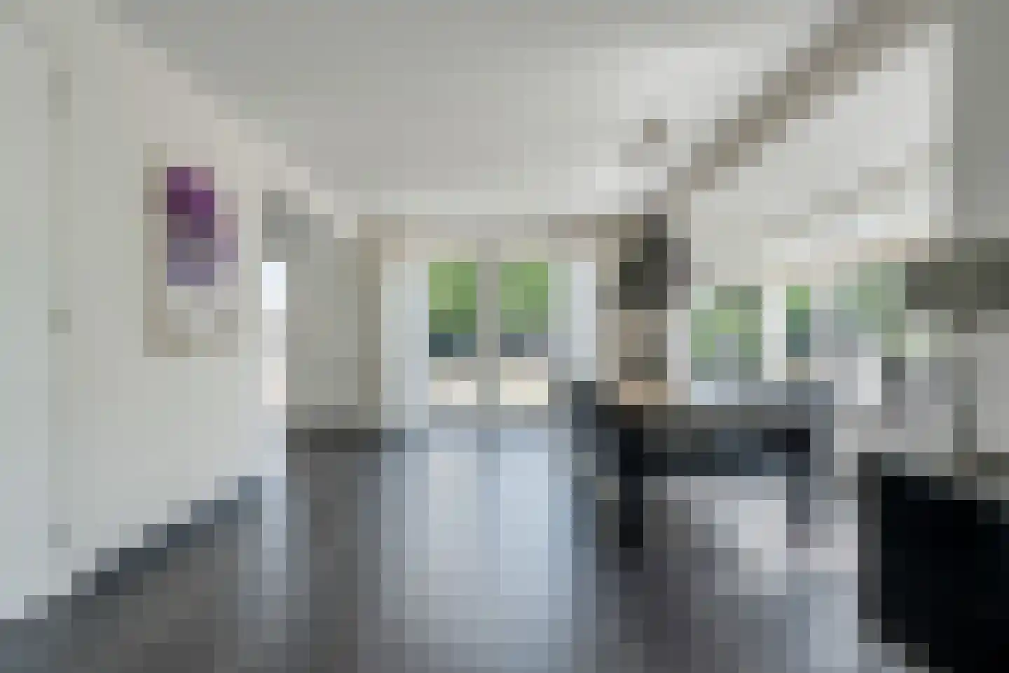Bunthaak 6 Hasselt thumbnail 19