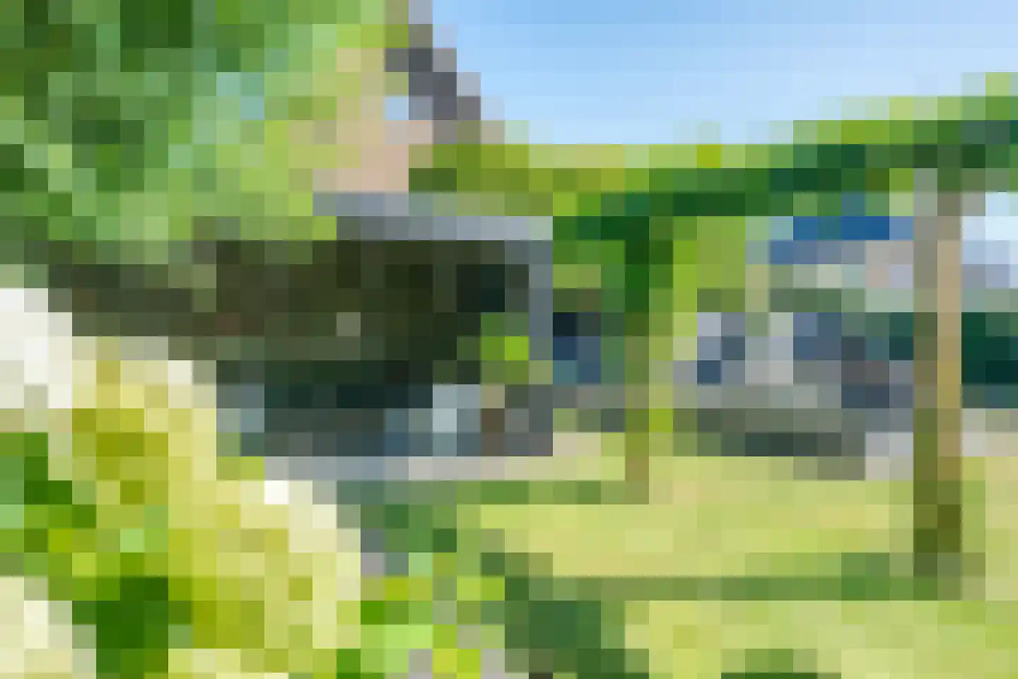 Bunthaak 6 Hasselt thumbnail 37