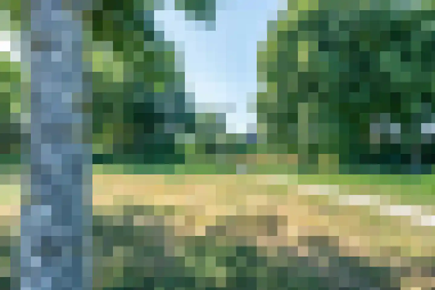Bunthaak 6 Hasselt thumbnail 6