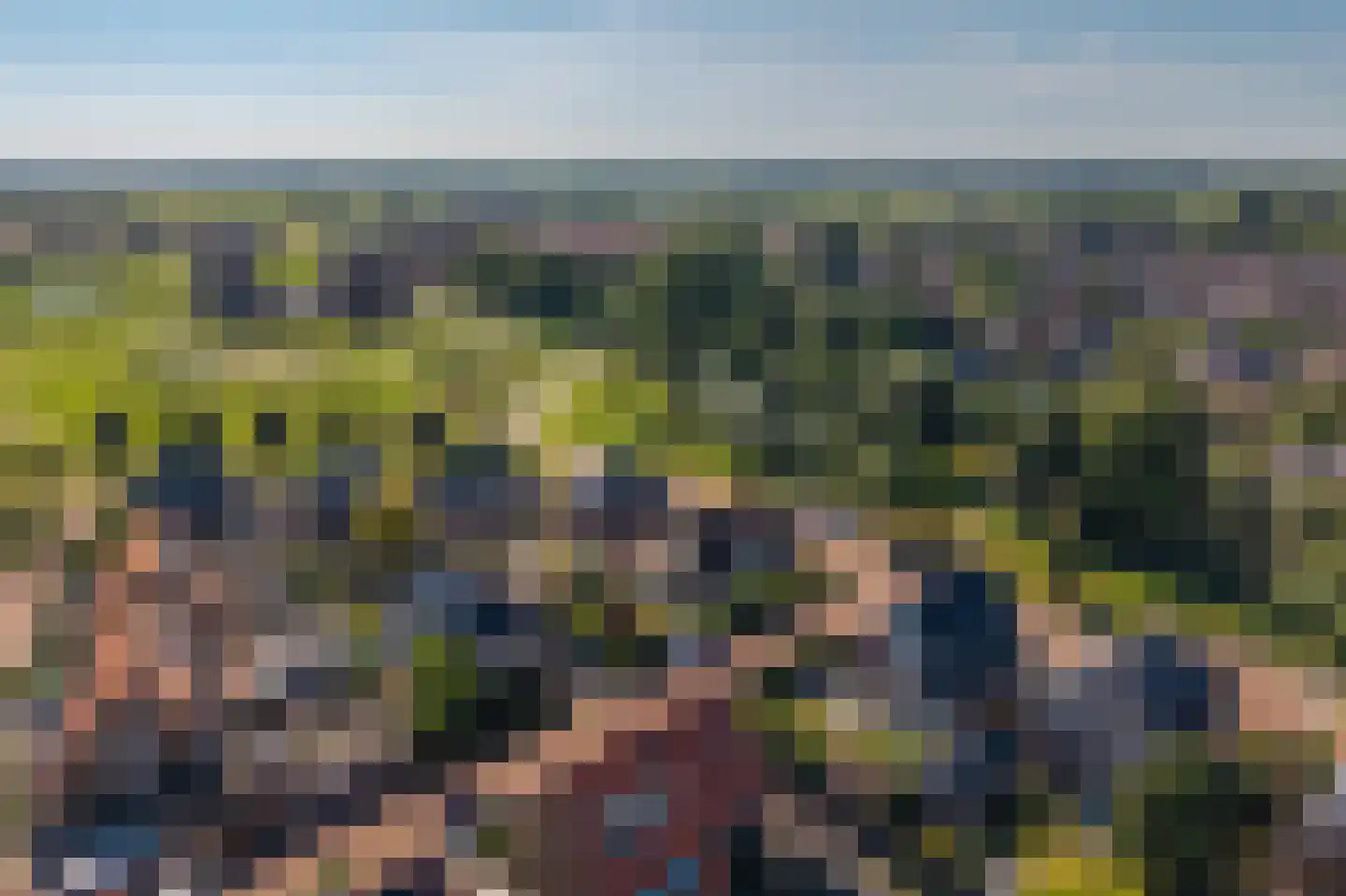 Bunthaak 6 Hasselt thumbnail 64