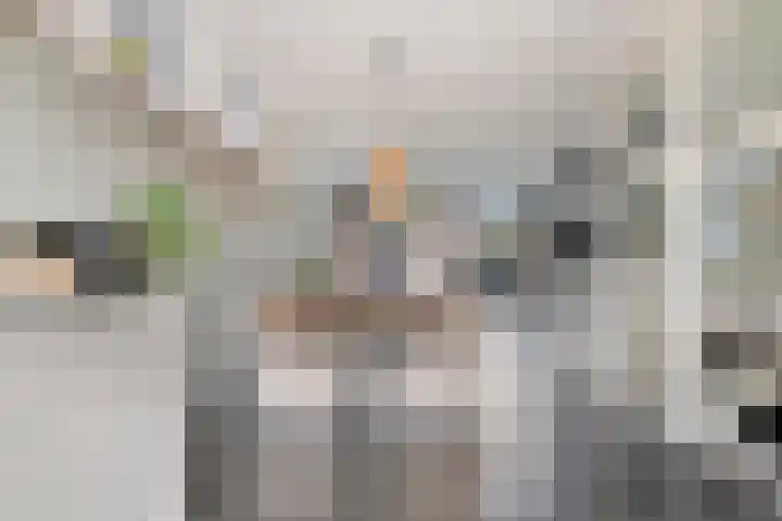 Buntheide 13 Prinsenbeek thumbnail 10