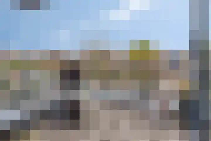 Buntheide 13 Prinsenbeek thumbnail 16