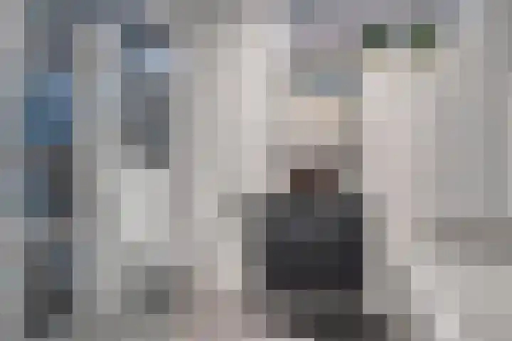 Buntheide 13 Prinsenbeek thumbnail 19