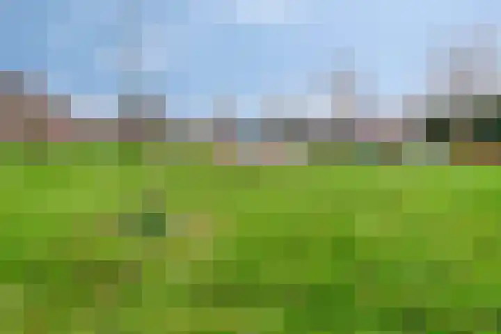 Buntheide 13 Prinsenbeek thumbnail 30