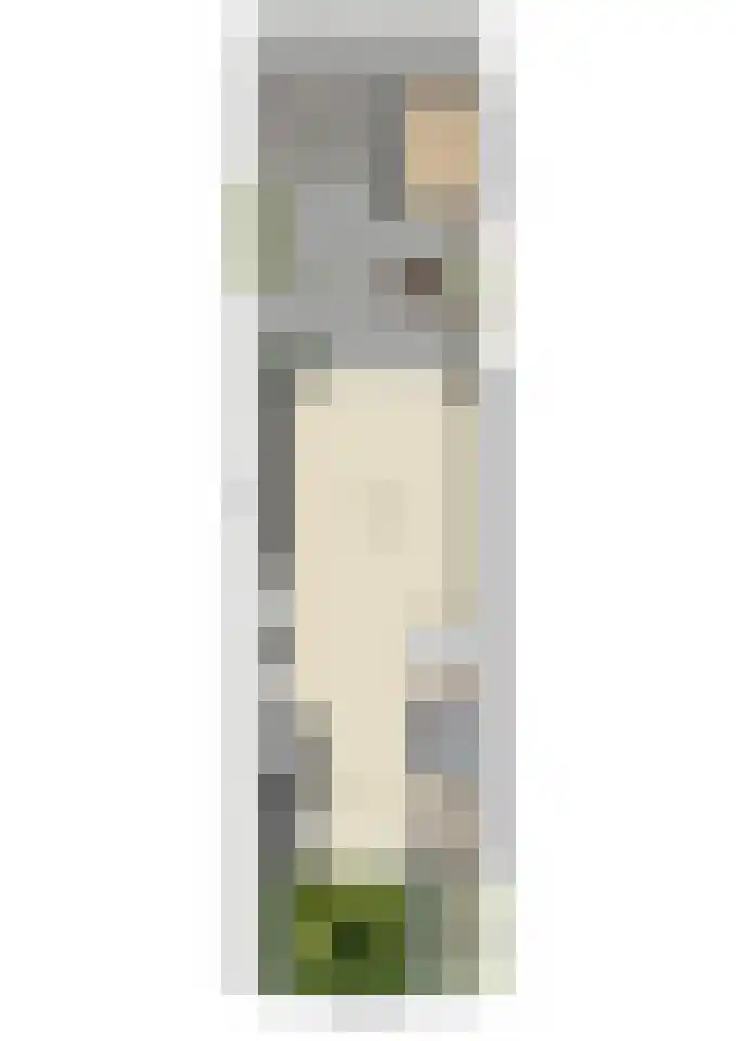 Buntheide 13 Prinsenbeek thumbnail 36
